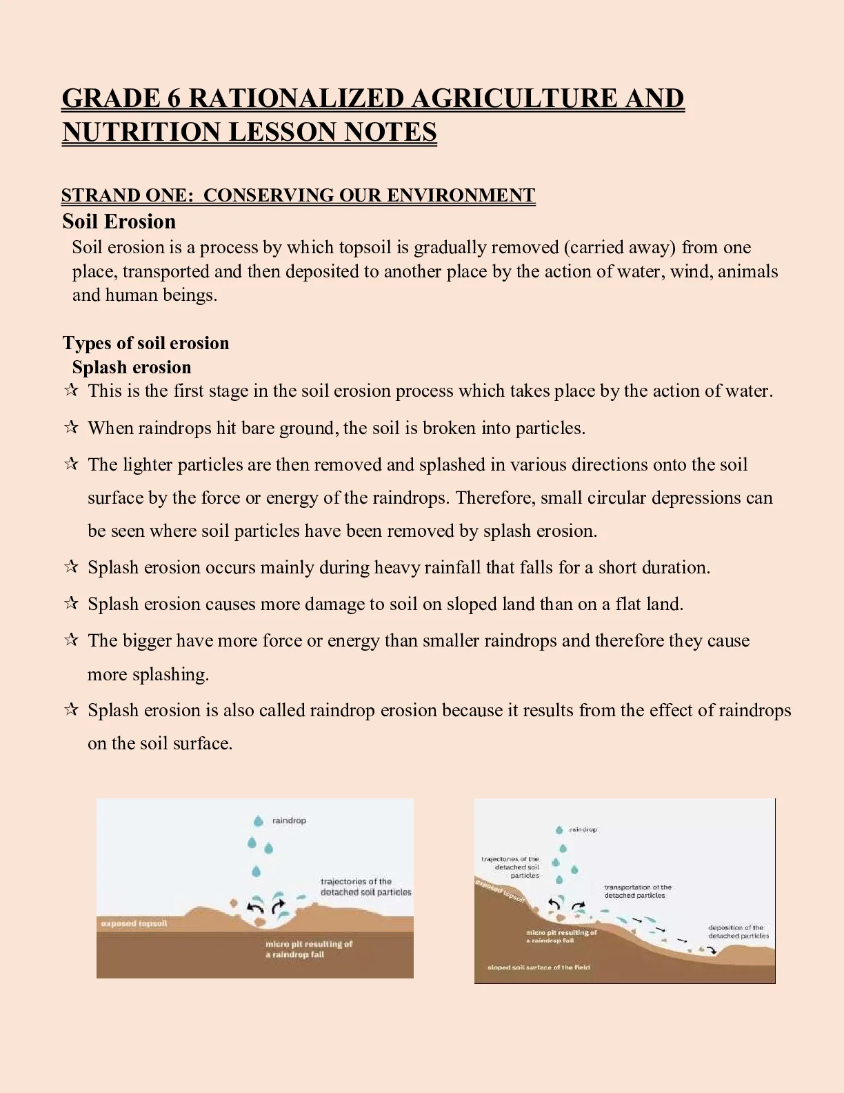 Grade 6 Agriculture and Nutrition Rationalised Notes — Page 1 Sample