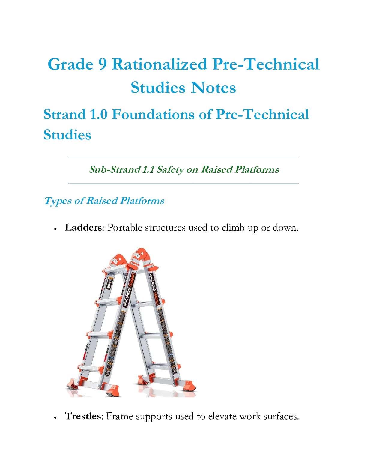 Grade 9 Rationalized Pre Technical Studies Notes Term 1 2 And — Page 1 Sample